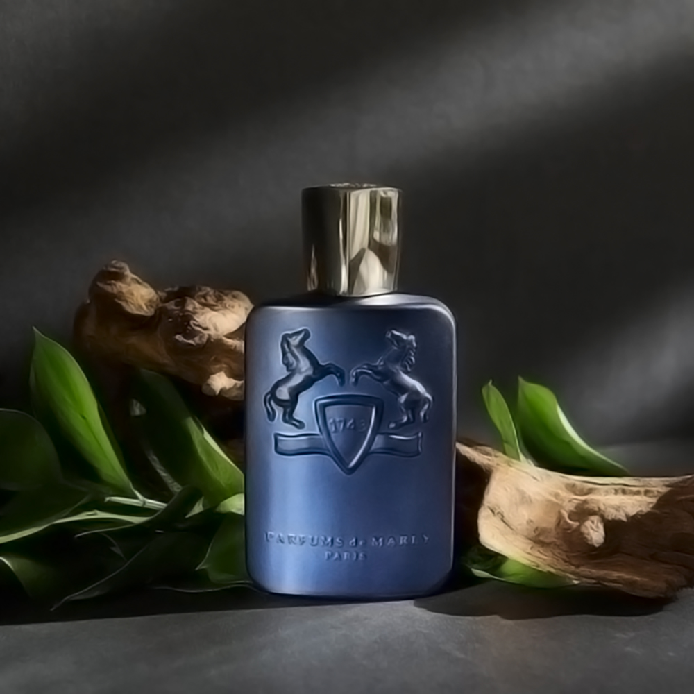 layton parfums marly